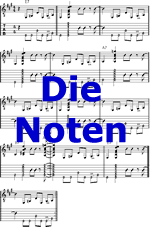 Zu den Noten